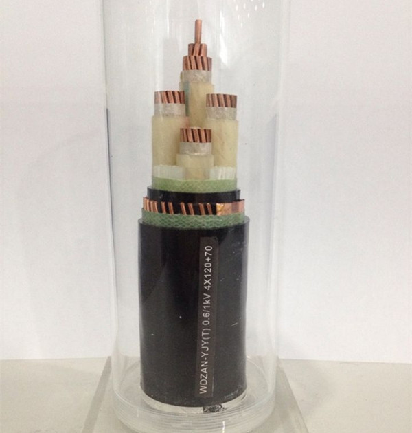 0.6/1kV ϩȼͻ