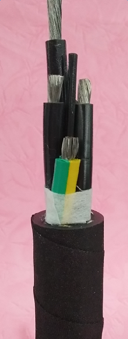 ���߶�װ���ࡿ���ѹ0.6/1kV����������ϵͳ�õ���